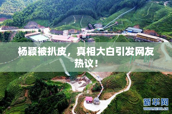 杨颖被扒皮，真相大白引发网友热议！