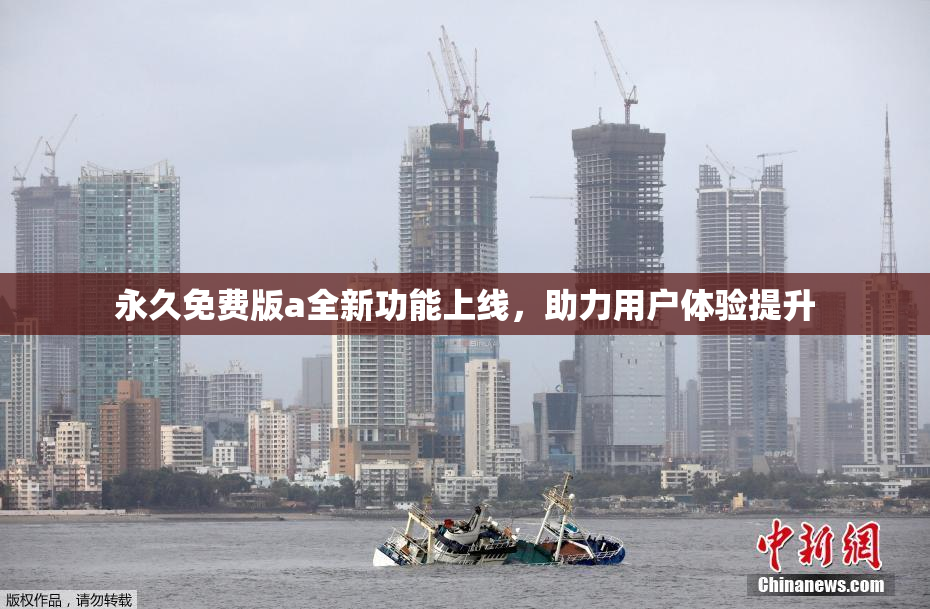 永久免费版a全新功能上线，助力用户体验提升