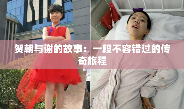 贺朝与谢的故事：一段不容错过的传奇旅程