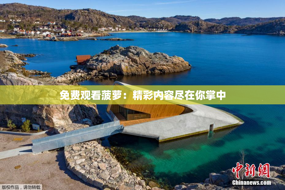 免费观看菠萝：精彩内容尽在你掌中