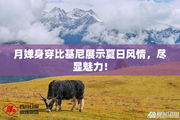 月婵身穿比基尼展示夏日风情，尽显魅力！