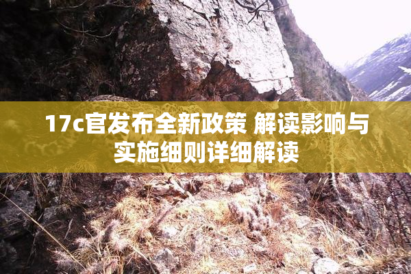 17c官发布全新政策 解读影响与实施细则详细解读