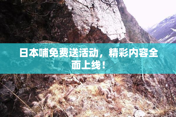 日本哺免费送活动，精彩内容全面上线！