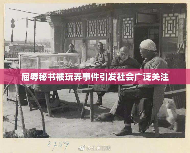 屈辱秘书被玩弄事件引发社会广泛关注