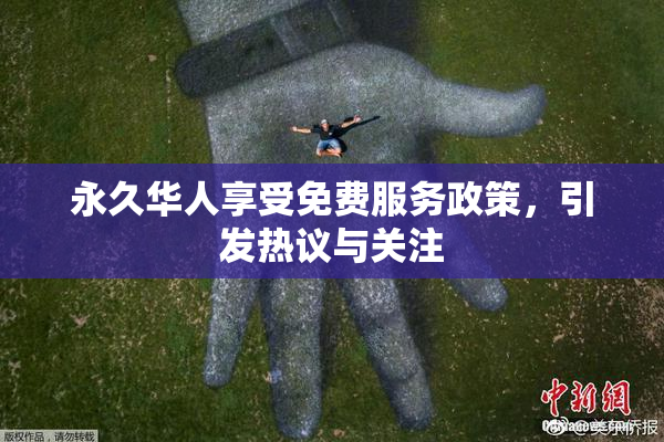 永久华人享受免费服务政策，引发热议与关注