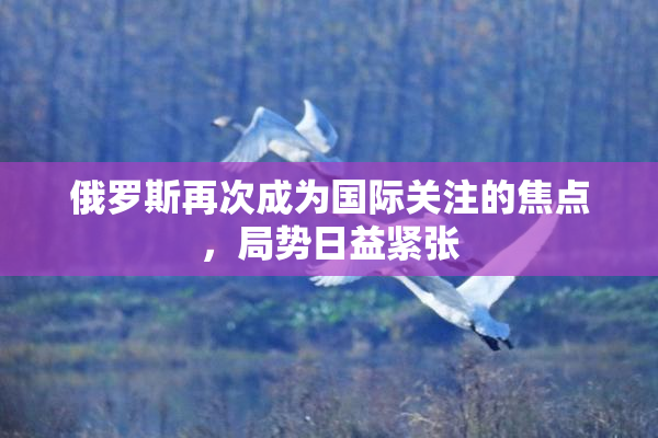 俄罗斯再次成为国际关注的焦点，局势日益紧张