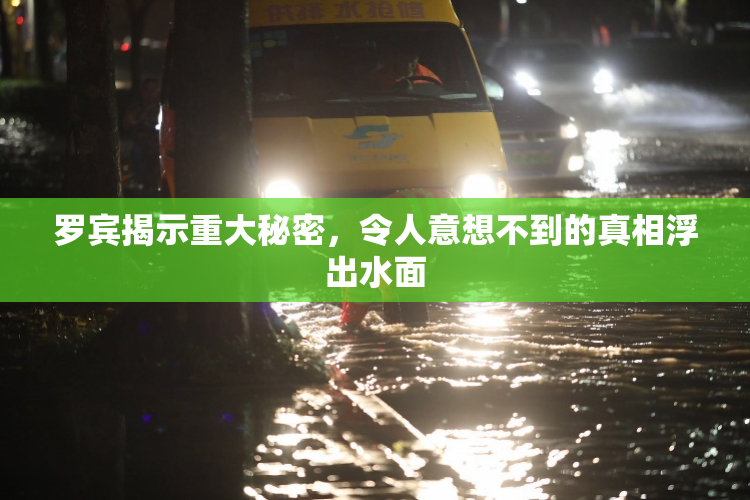 罗宾揭示重大秘密，令人意想不到的真相浮出水面