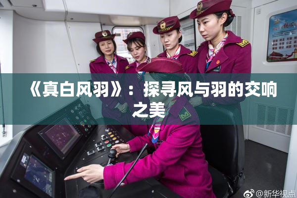 《真白风羽》：探寻风与羽的交响之美