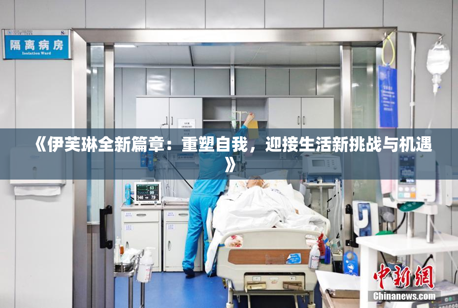 《伊芙琳全新篇章：重塑自我，迎接生活新挑战与机遇》