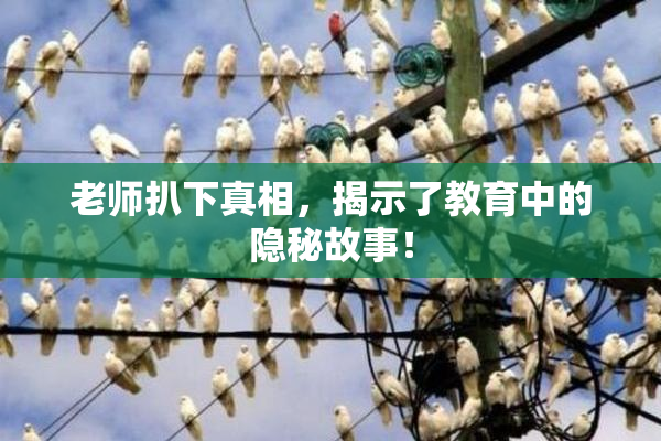 老师扒下真相，揭示了教育中的隐秘故事！