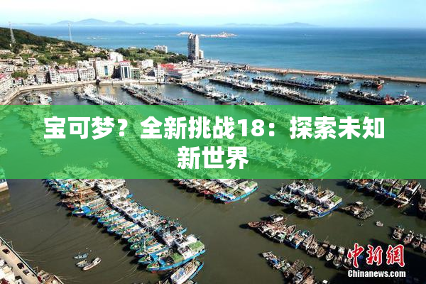 宝可梦？全新挑战18：探索未知新世界