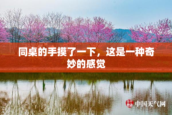 同桌的手摸了一下，这是一种奇妙的感觉
