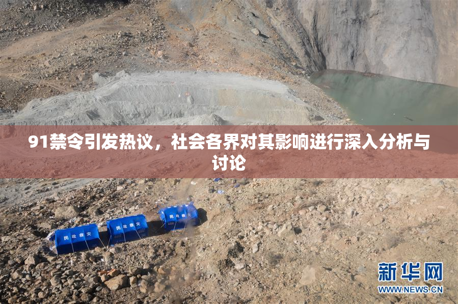 91禁令引发热议，社会各界对其影响进行深入分析与讨论