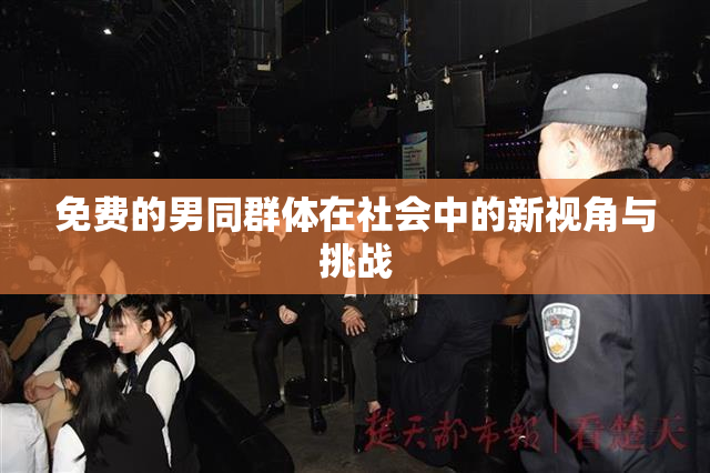 免费的男同群体在社会中的新视角与挑战
