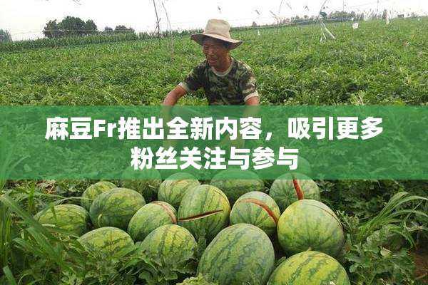 麻豆Fr推出全新内容，吸引更多粉丝关注与参与