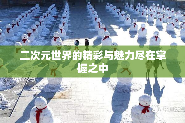 二次元世界的精彩与魅力尽在掌握之中
