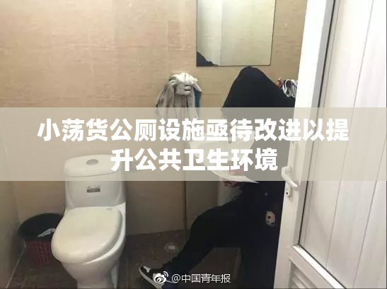 小荡货公厕设施亟待改进以提升公共卫生环境