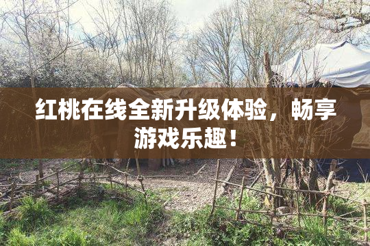 红桃在线全新升级体验，畅享游戏乐趣！