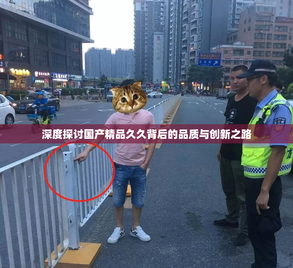 深度探讨国产精品久久背后的品质与创新之路