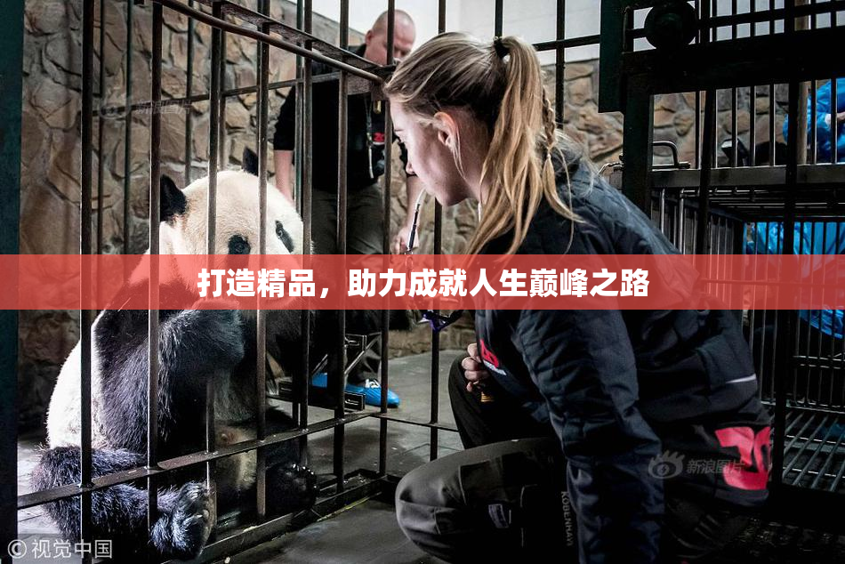 打造精品，助力成就人生巅峰之路