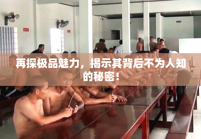 再探极品魅力，揭示其背后不为人知的秘密！
