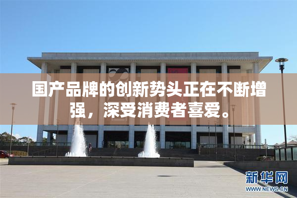 国产品牌的创新势头正在不断增强，深受消费者喜爱。