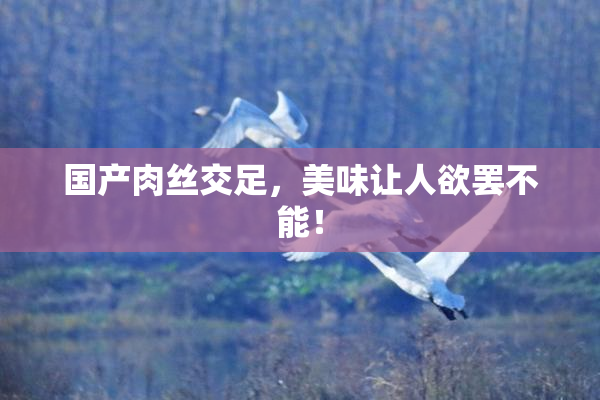国产肉丝交足，美味让人欲罢不能！