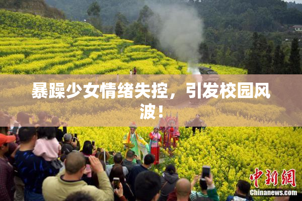 暴躁少女情绪失控，引发校园风波！
