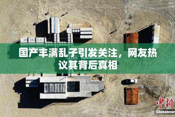 国产丰满乱子引发关注，网友热议其背后真相