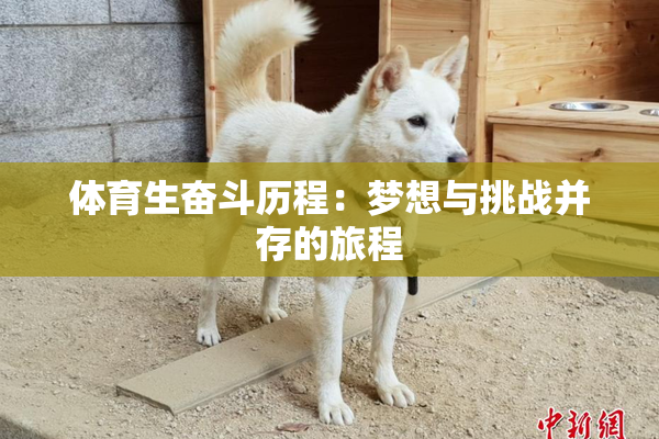 体育生奋斗历程：梦想与挑战并存的旅程