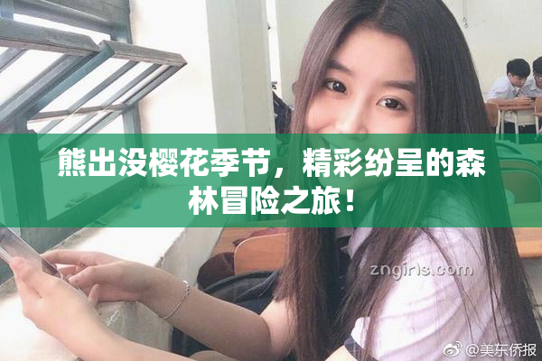 熊出没樱花季节，精彩纷呈的森林冒险之旅！