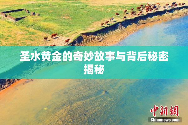 圣水黄金的奇妙故事与背后秘密揭秘