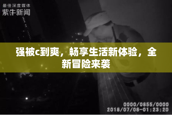 强被c到爽，畅享生活新体验，全新冒险来袭