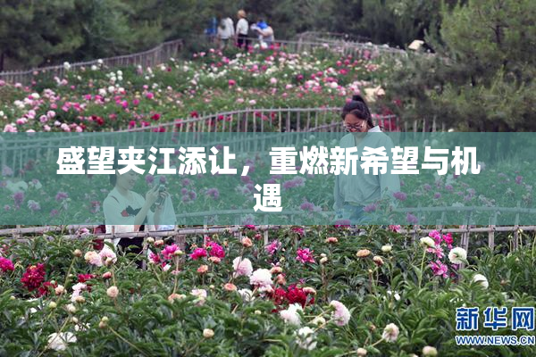 盛望夹江添让，重燃新希望与机遇