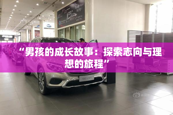 “男孩的成长故事：探索志向与理想的旅程”