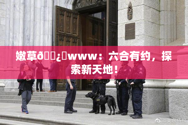 嫩草🌿‌www：六合有约，探索新天地！