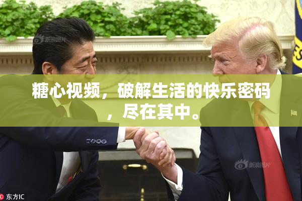 糖心视频，破解生活的快乐密码，尽在其中。