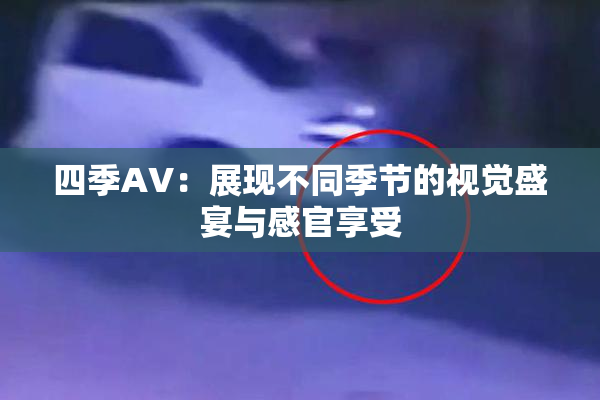 四季AV：展现不同季节的视觉盛宴与感官享受