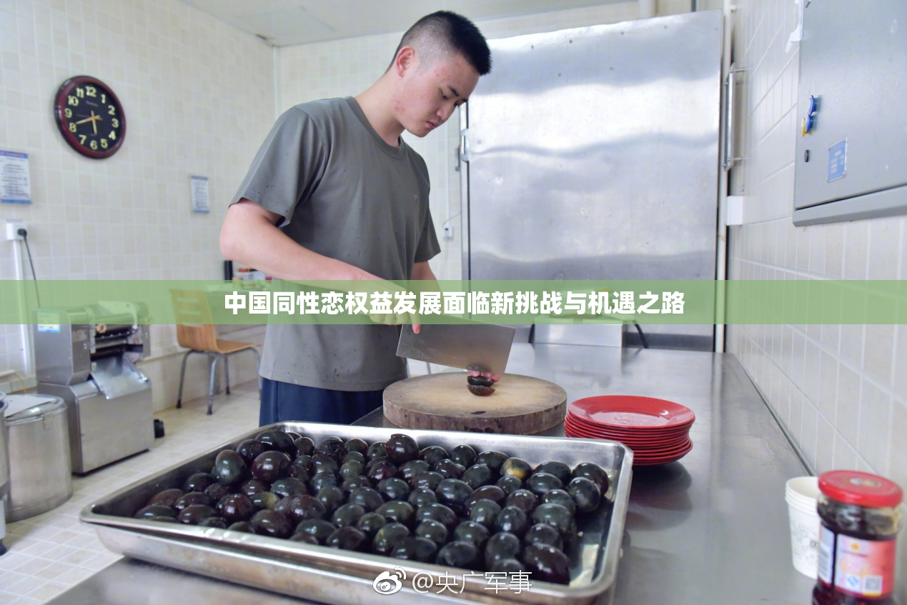 中国同性恋权益发展面临新挑战与机遇之路