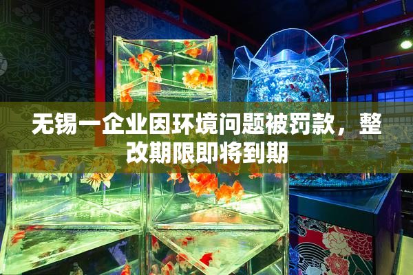 无锡一企业因环境问题被罚款，整改期限即将到期