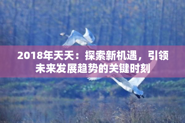2018年天天：探索新机遇，引领未来发展趋势的关键时刻