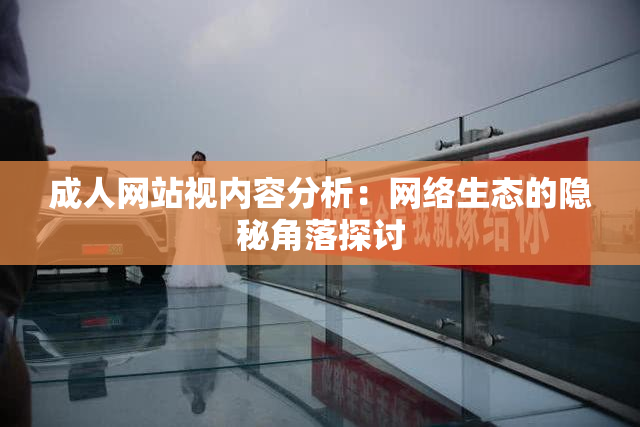 成人网站视内容分析：网络生态的隐秘角落探讨
