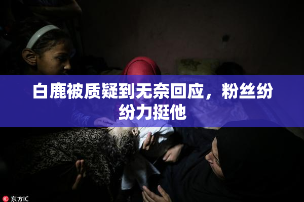 白鹿被质疑到无奈回应，粉丝纷纷力挺他