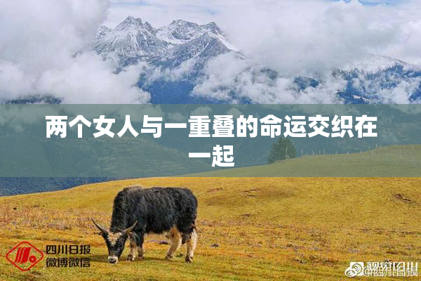 两个女人与一重叠的命运交织在一起