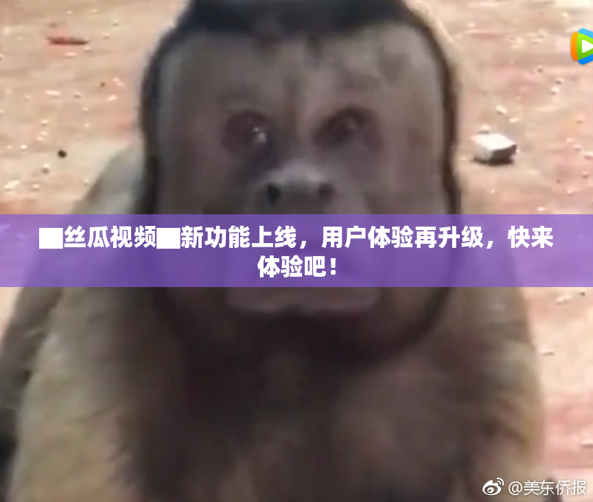 ▇丝瓜视频▇新功能上线，用户体验再升级，快来体验吧！