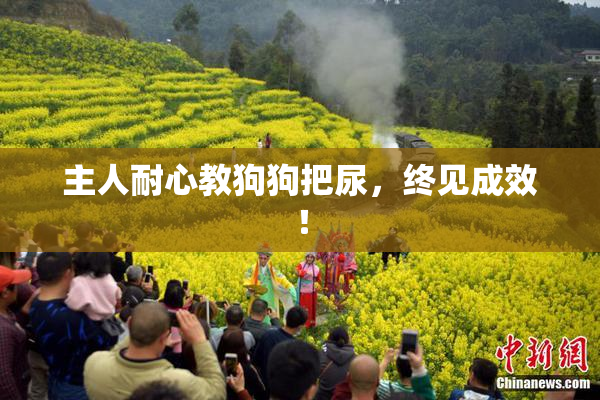 主人耐心教狗狗把尿，终见成效！