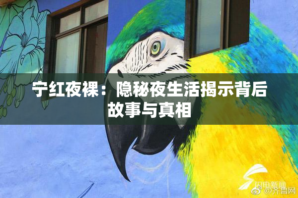 宁红夜裸：隐秘夜生活揭示背后故事与真相