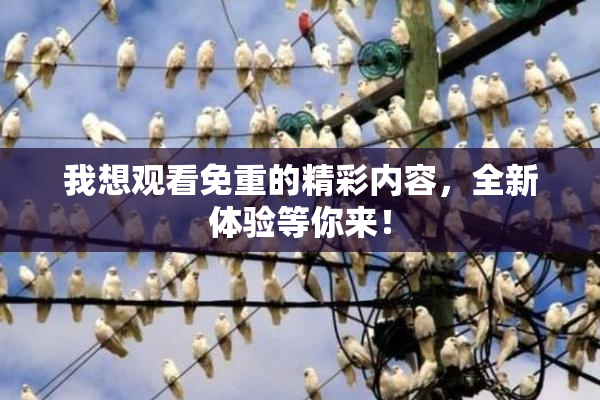 我想观看免重的精彩内容，全新体验等你来！
