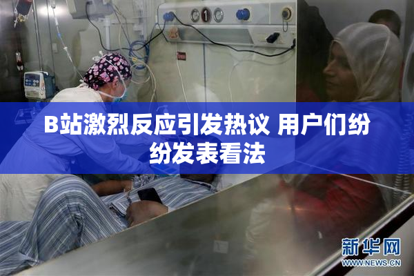 B站激烈反应引发热议 用户们纷纷发表看法