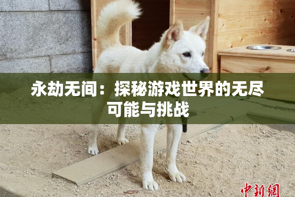 永劫无间：探秘游戏世界的无尽可能与挑战